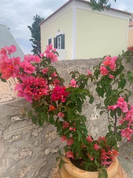 Villa 1853, Spetses Ground Floor Luaran gambar